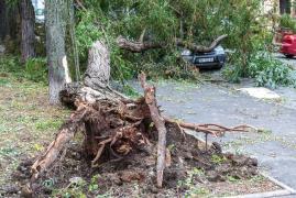 10 judeţe şi Bucureştiul, sub cod galben de vânt până la ora 23.00. Vor fi rafale de 55...65 km/h și izolat de 70 km/h