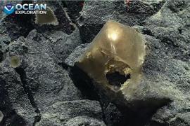 Mister în jurul "oului auriu"