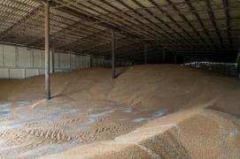 Polonia va menţine interdicţia asupra importurilor agricole ucrainene şi acuză Kievul de rea credinţă. Unde ajung de fapt cerealele ucrainene