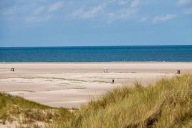 O femeie de aproximativ 20 de ani a fost violată în mijlocul unei plaje publice din Sussex.