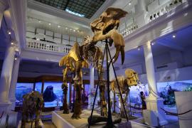 Ce muzee au intrare liberă luni, 15 ianuarie