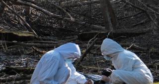 Gelozie morbidă în Mureș. Un tânăr și-a înjunghiat mortal iubita, apoi s-a sinucis. Ultimul apel înainte să-și ia viaţa