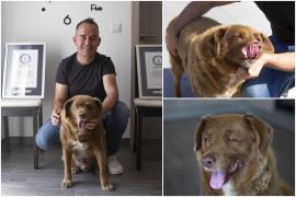 Vârsta lui Bobi, cel mai bătrân câine din lume, pusă la îndoială. Animalului i-a fost suspendat tilul, după ce a murit la 31 de ani