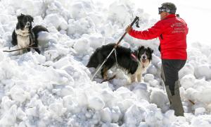 Intervenţie a salvamontiştilor