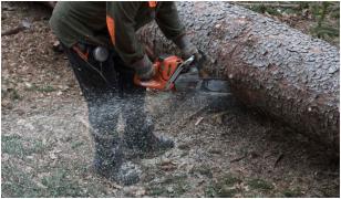 Copilaş de 4 ani, mort într-o pădure din Prahova. A fost lovit în cap de un copac tăiat de tatăl său