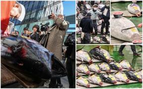 Ton uriaş, vândut cu 720.000 de euro la o licitaţie de peşte din Japonia