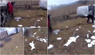 Accident terifiant în Ungaria. Cinci răniți, după ce un microbuz înmatriculat în România s-a răsturnat în afara șoselei. Doi oameni, în stare critică