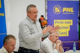 președintele PNL Nicolae Ciucă
