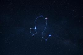 Horoscop săptămânal Leu 14-20 octombrie 2024