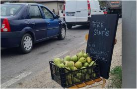 Surpriza avută de o brașoveancă după ce a scos la poartă o ladă plină cu pere gratis pentru șoferii care stăteau în coloană