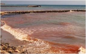 Motivul pentru care Marea Neagră a devenit roşie în unele zone. Cum se explică fenomenul