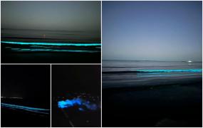 Valuri fosforescente pe litoralul Mării Negre. Imagini superbe cu bioluminiscenţa, surprinse la Constanţa şi Eforie