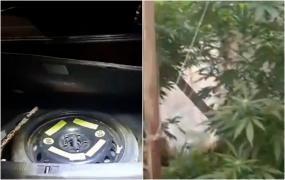 "Afacerea" ilegală cu care se îmbogățea un bărbat de 41 din Neamț. Alţi doi tineri de 19 ani îl ajutau