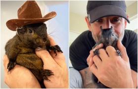 Veverița Peanut, celebră pe rețelele sociale, a fost confiscată de autorități de la stăpânul ei: "Am fost tratat ca un traficant de droguri"