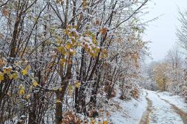 Lapoviţă, ninsori și strat nou de zăpadă în mai multe zone. ANM a actualizat prognoza meteo pentru următoarele 4 săptămâni