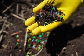 Descoperire revoluţionară în Africa. Cercetătorii au găsit în premieră o specie de insectă care poate mănânca plastic