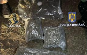 Trei tineri, prinși în timp ce vindeau 2,5 kg de cannabis, în Bistrița. Urmau să primească 11.000 de euro, dar au ajuns în arest