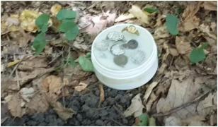 Descoperire incredibilă într-o pădure din Mureş. Obiectul unic în România este expus acum la muzeu