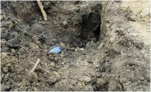 Imagini de la faţa locului - Bacău