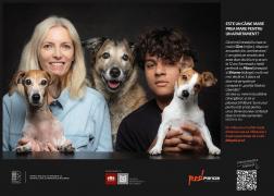 Studiu Red Panda: De ce preferă bucureștenii să cumpere căței, în loc să adopte? Criterii și mituri care ghidează includerea unui animal de companie în familie