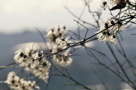 Vreme mai caldă decât normal. ANM a actualizat prognoza meteo până la mijlocul lunii ianuarie