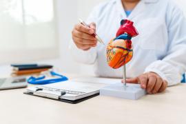 Ziua cu cele mai multe atacuri de cord din an. Cardiologii spun că 2 factori sunt de vină pentru statistica sumbră