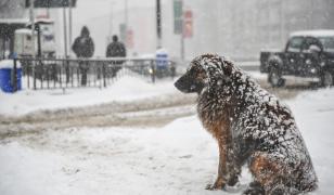 Alertă de vreme rea în weekend. Val de ploi şi ninsori în cea mai mare parte a ţării