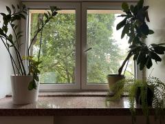 Personalizează-ți casa cu glafuri din piatră: un ghid complet