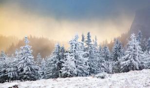 Vremea 1 - 27 ianuarie 2025. Prima lună a noului an aduce condiții meteo neobişnuite