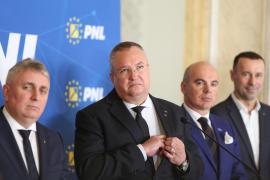 Nicolae Ciucă: Dacă până vineri nu decidem comasarea alegerilor, nu mai are rost să discutăm