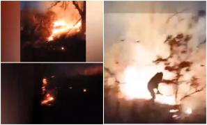 Incendiu puternic de vegetaţie în Mehedinţi. Localnicii au sărit în ajutorul pompierilor copleșiți de flăcările uriașe
