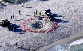 O fetiţă de cinci ani a murit, după ce a fost îngropată în nisip pe o plajă din Florida