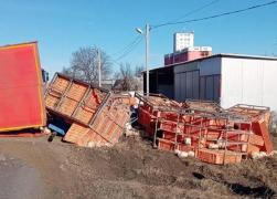 Un TIR încărcat cu pui vii s-a răsturnat pe şosea, pe DN 2 în Bacău. Şoferul a pierdut controlul volanului după ce ar fi adormit