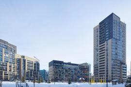 Româncă arestată în Cehia, după ce a furat 500.000 de euro de la un dezvoltator imobiliar. A pretins că este însărcinată