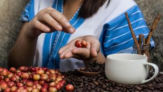 (P) Etiopia - Grădina Edenului a cafelei boabe. De ce este atât de specială?