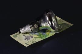 Patru furnizori de energie, amendaţi cu peste 100 de milioane de euro. Vindeau între ei curentul pentru a creşte artificial preţul kw