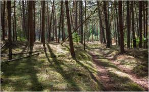 A înjunghiat un preot în curtea unei mănăstiri, apoi s-a sinucis. Bărbatul din Republica Moldova s-a spânzurat într-o pădure