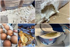 Magazin Lidl din Timişoara, închis după ce au fost găsite excremente de şoareci şi capcane cu lipici. Ce au mai găsit inspectorii la control