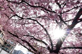 De la frig şi ninsori la 20 de grade Celsius. Vremea se schimbă radical în România, în doar câteva zile