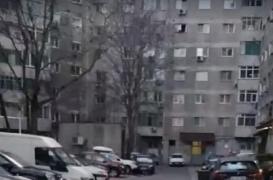 Apariţie neaşteptată în Crângaşi, Bucureşti. "S-ar putea sa se ascundă în subsolul unui bloc"