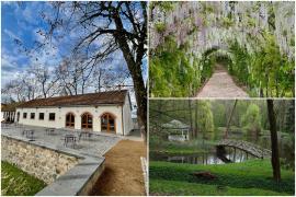 Domeniul Regal Săvârşin își redeschide porțile pentru vizitatori. Casa Ceaiului este cea mai recentă atracție deschisă în complex