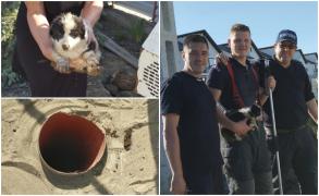 Căţeluş căzut într-o fosă septică, salvat de trei pompieri cu suflet mare din Suceava. Bruno a fost adoptat de unul dintre salvatori