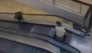 Eroul din mall. Francezul care s-a luptat cu atacatorul din Sydney va primi cetăţenia australiană