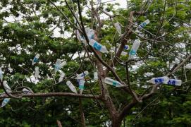 De Ziua Planetei Pământ se continuă lupta împotriva utilizării produselor din plastic