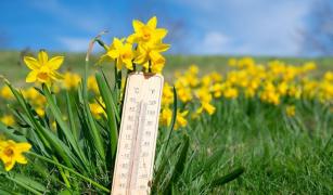 ANM a actualizat prognoza meteo pentru următoarele patru săptămâni. De miercuri, vremea se încălzeşte semnificativ în sud-estul ţãrii