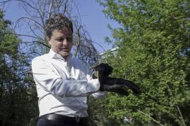 Nicuşor Dan, după ce Gabriela Firea a intrat în cursa pentru Capitală: Lupta se va da între mine şi Piedone