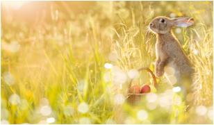 Când pică Paștele în 2025? Cum se calculează data