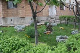 Amenda primită de o femeie din Braşov pentru că a plantat flori sub geamul apartamentului ei: "E anormal ce se întâmplă"