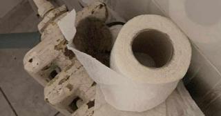 Şobolan, la "tratament" printre bolnavii de la Spitalul Sfântul Spiridon din Iași: "Oribil!"