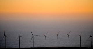 Investiţie uriaşă în România. Afacerea de 88 de milioane de euro realizată de o firmă de Cehia, în Constanţa